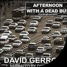 Afternoon with a Dead Bus