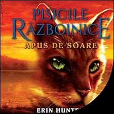 Apus de Soare [Sunset]