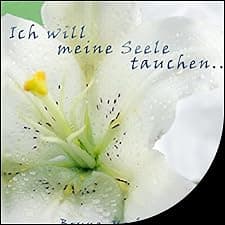 Ich will meine Seele tauchen...