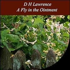 A Fly in the Ointment